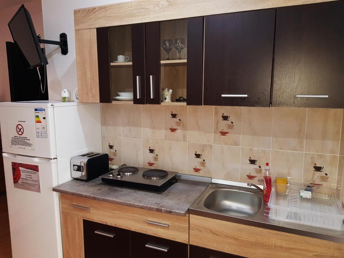 Pensiunea Red Rose Apartments Timisoara Exterior photo