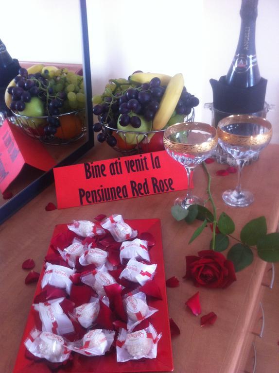 Pensiunea Red Rose Apartments Timisoara Room photo