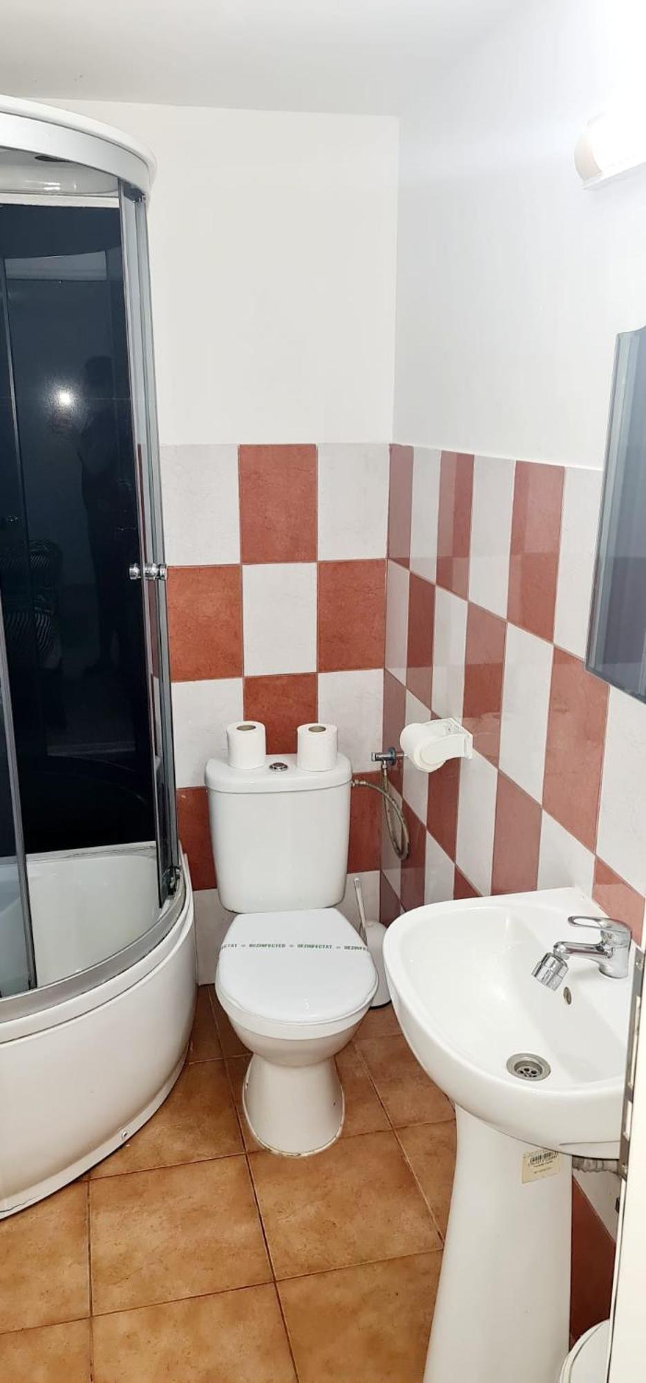 Pensiunea Red Rose Apartments Timisoara Exterior photo